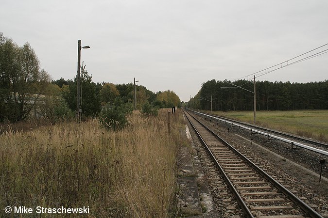 Bild: verwilderter Bahnsteig